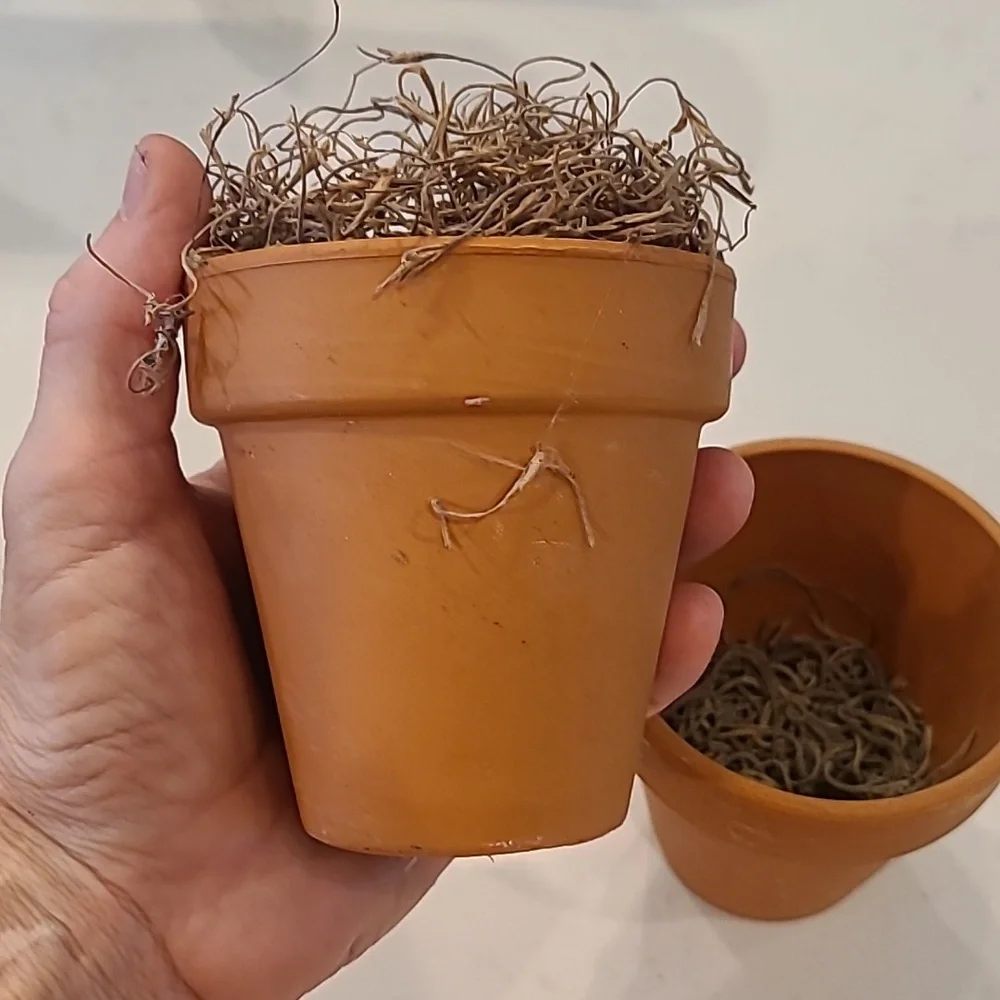Faux Mini Clay Pot Bundle